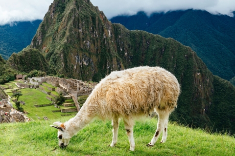 Forfait 7 jours au Pérou - Oasis de Huacachina et Machu PicchuFantastique Pérou 7 jours 6 nuits