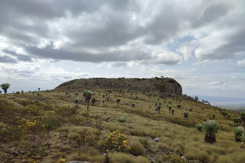 Aberdare Highlands: North to West Trekking Experience