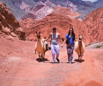 Purmamarca: Trekking com Llamas por montanhas multicoloridas