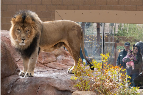 Phoenix Zoo: En dagsbiljett för allmän entré