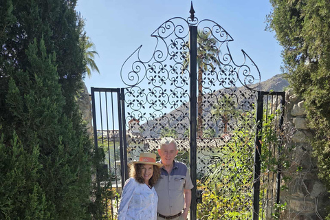 Palm Springs: Celebrity Homes Guided Electric Cart Tour Explore Palm Springs Celebrity Homes in Style