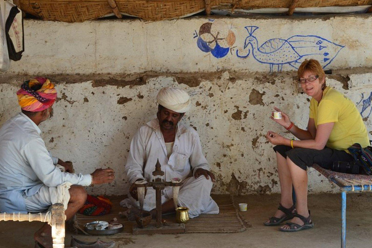 Bishnoi Village Safari Private Demi-journéeOption standard