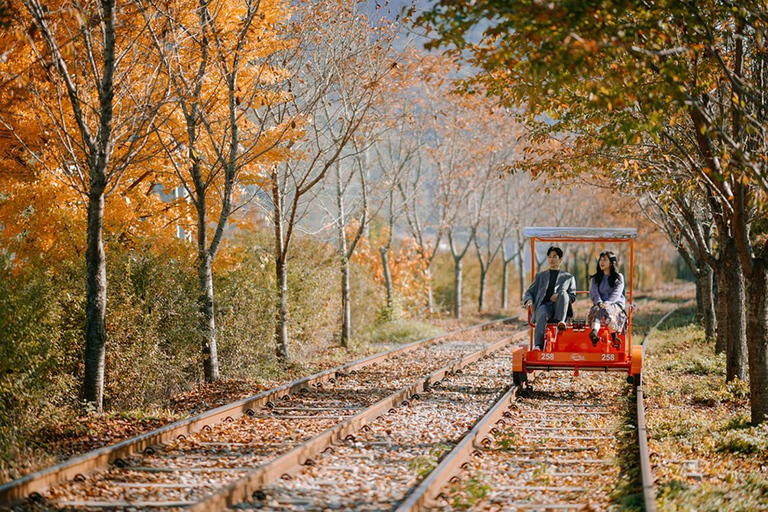 From Seoul: Nami Island, Korean Garden & Rail Bike Day Trip Group Tour w/o Railbike from Dongdaemun (DDP)