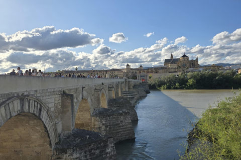 Cordoue : visite de la mosquée-cathédrale, du pont romain et du quartier juif.Cordoue : visite guidée de la mosquée-cathédrale, du pont romain et du quartier juif.