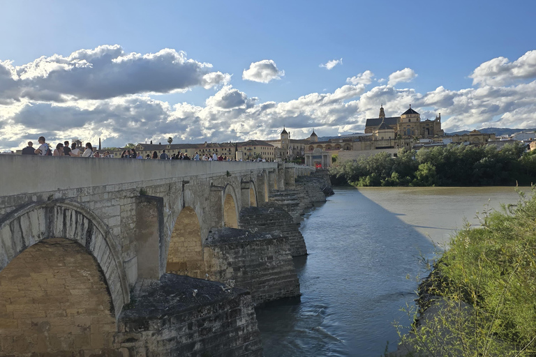Cordoue : visite de la mosquée-cathédrale, du pont romain et du quartier juif.Cordoue : visite guidée de la mosquée-cathédrale, du pont romain et du quartier juif.
