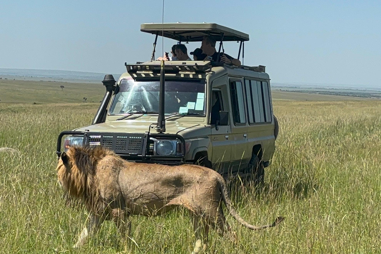 3 days Masai Mara with Giraffe Centre visit joining safari Upgrade your accommodation to lodge