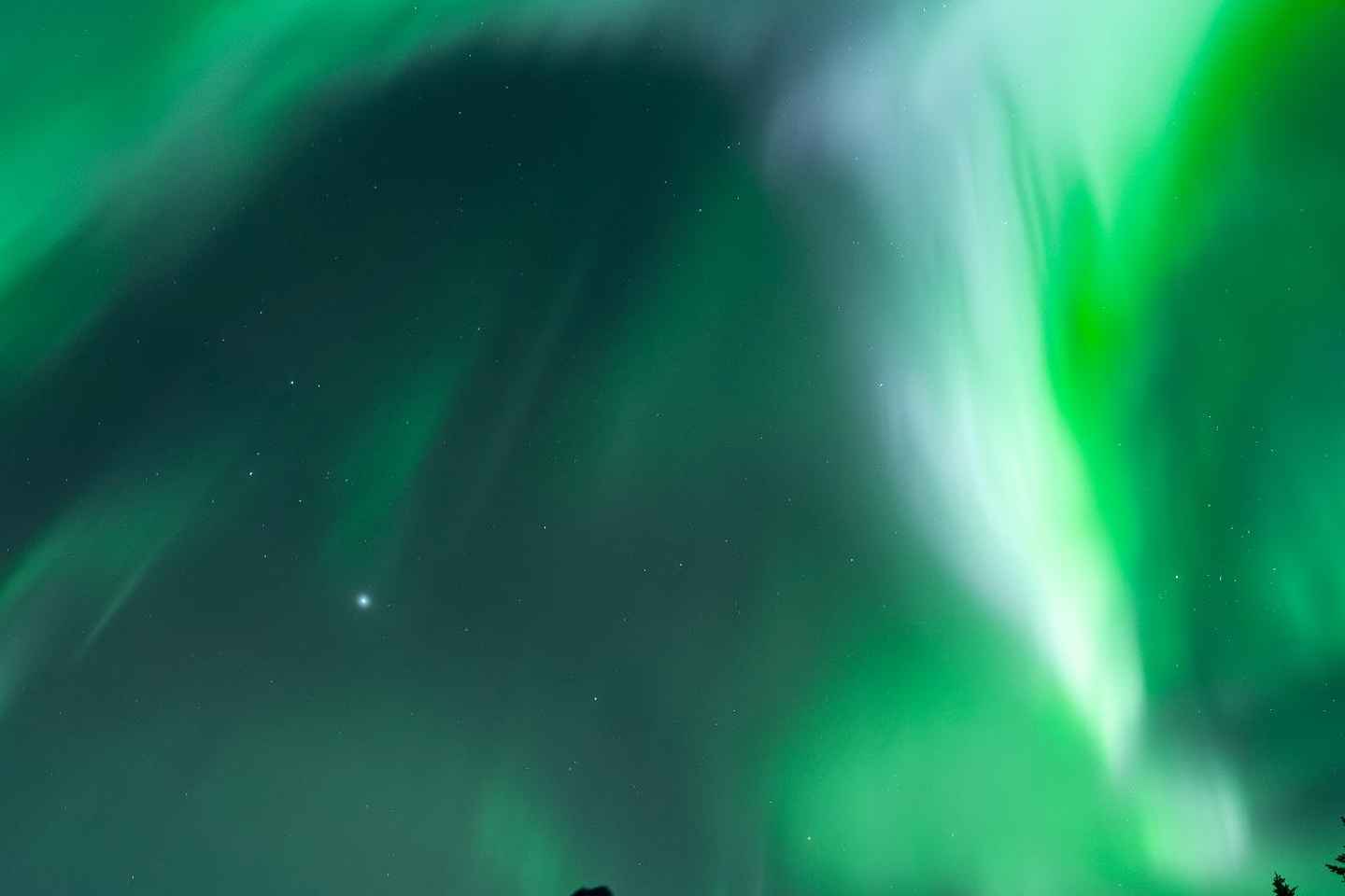 Rovaniemi: Northern Lights Tour - Aurora Viewing Guaranteed