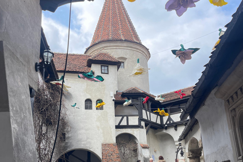 Sibiu: Dracula&#039;s Castle and Brasov Day Roundtrip Day Tour