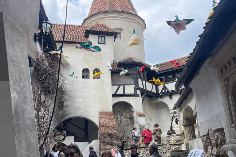 Sibiu: Dracula's Castle and Brasov Day Roundtrip Day Tour