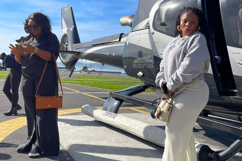 Le Cap : visite en hélicoptère (prise en charge à l&#039;hôtel)