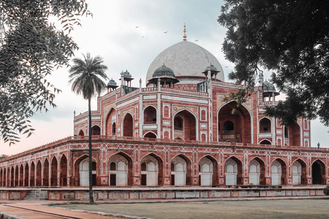 Tour Privado de la Tumba de Humayun con Salta la colaVisita Privada a la Tumba de Humayun con Guía Único