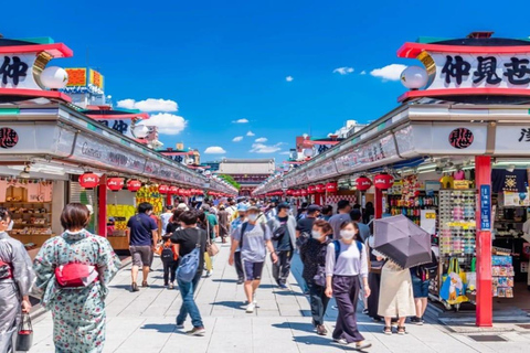 Tokyo: Private 1-Day Tour with English-Driver, Customizable