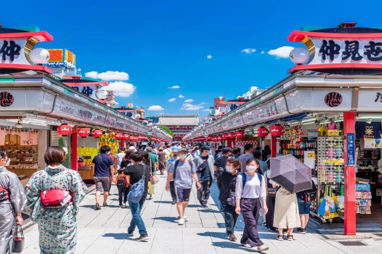 Tokyo: Private 1-Day Tour with English-Driver, Customizable