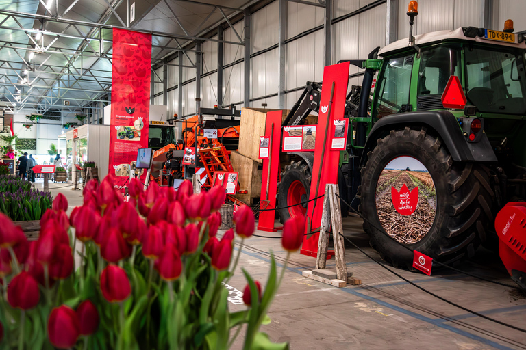 Tulip Experience and Tulip Fields Tour from Amsterdam