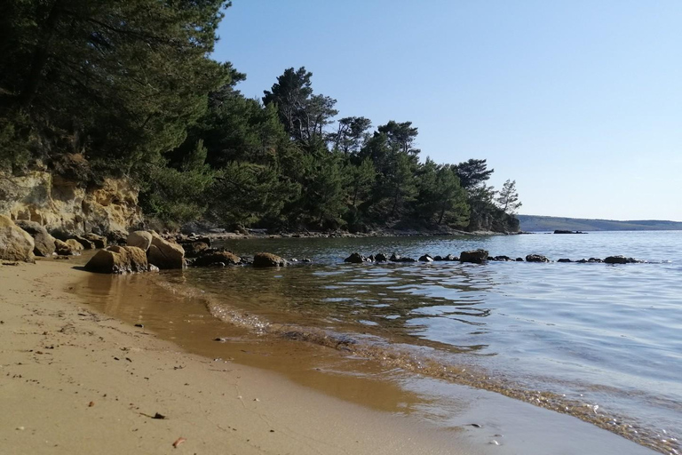 Rab : location de kayaks transparents à LoparRab : Location de kayaks transparents à Lopar