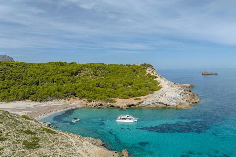 Cala Ratjada: Passeio de barco com bebidas e jantar