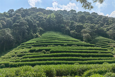 Hangzhou Jiuxi, Shililangdang & Yunqi Day Hiking Tour
