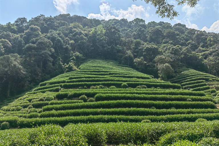 Hangzhou Jiuxi, Shililangdang & Yunqi Day Hiking Tour