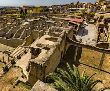Da Napoli: Tour Ercolano+Vesuvio+Pompei