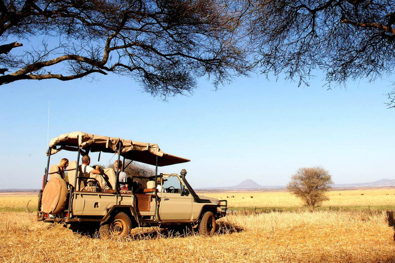 Arusha: Tarangire National Park Day Trip with Safari