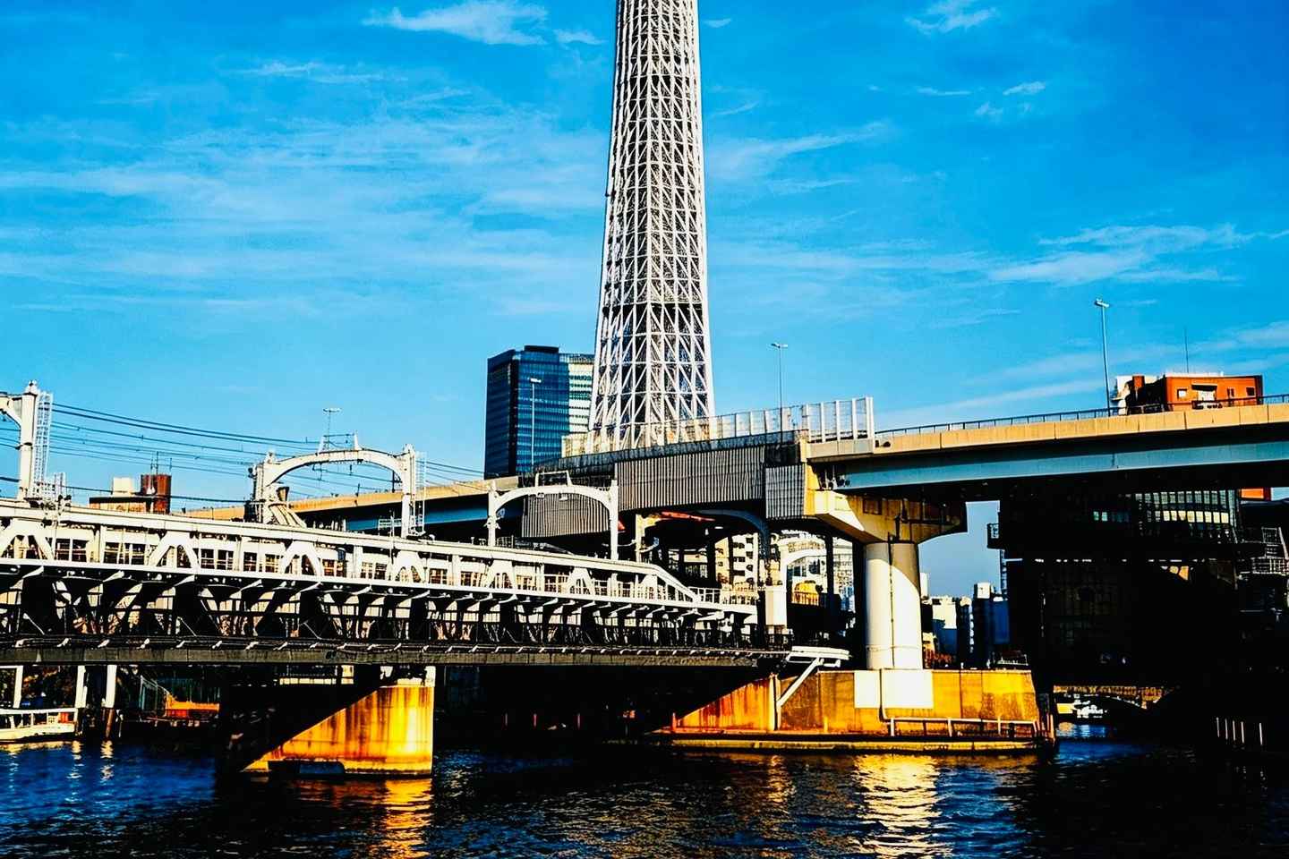Heart of Tokyo: Temples, Towers & True Japan ? Private Tour - Heart of Tokyo: Temples, Towers & True Japan — Private Tour