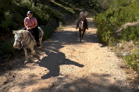 Provence: 2-hour Western horseback riding tour, refreshing break in the river Provence: 2-Hour Western Horseback Riding Tour, Refreshing Break in the River