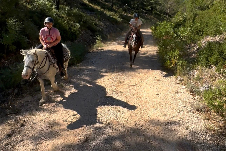 Provence: 2-hour Western horseback riding tour, refreshing break in the river Provence: 2-Hour Western Horseback Riding Tour, Refreshing Break in the River