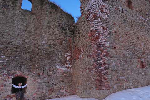 From Riga: Guided Day Tour to Rundale Palace & Bauska Castle