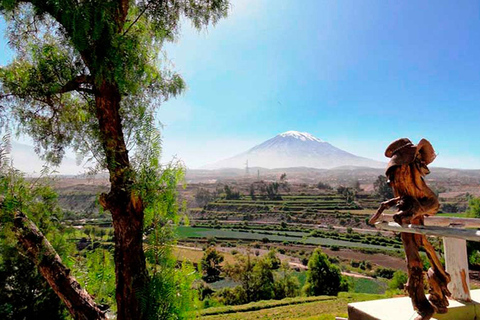 Desde Arequipa: Tour de la ciudad Mirabus | Mirador de Yanahuara |