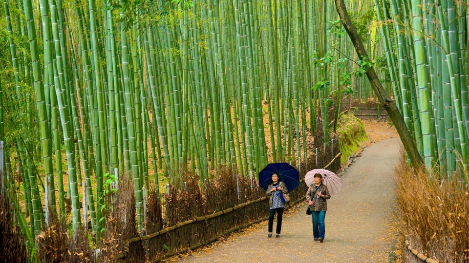 From Osaka: Fushimi Inari Shrine, Kyoto, and Nara Day Trip | GetYourGuide