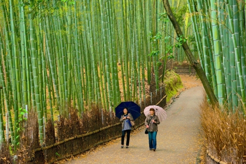 Dagtour Kyoto & Nara vanuit Osaka/Fushimi Inari, Arashiyama