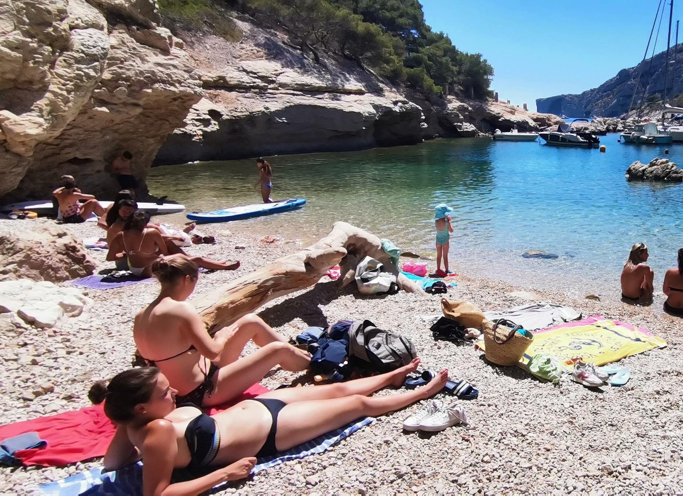 Marseille: Guidet vandretur i Calanques Nationalpark med picnic