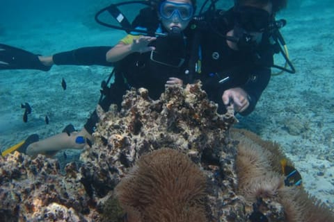 Moorea : Initiation à la plongée sous-marine