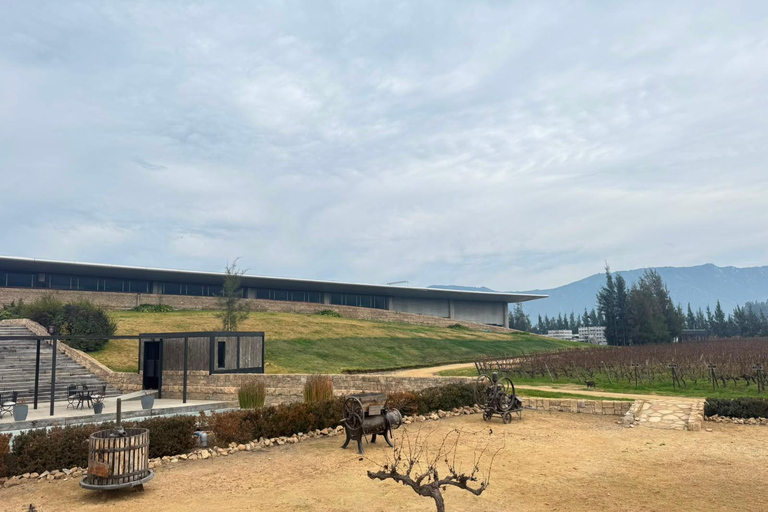 From Santiago: Viña Montes Winery Tour with Wine Tasting