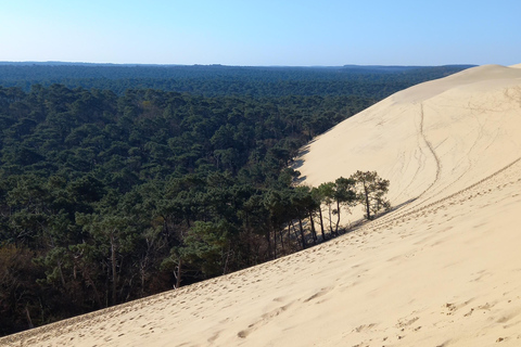 Dune du Pilat och ostronprovning! Vad mer?