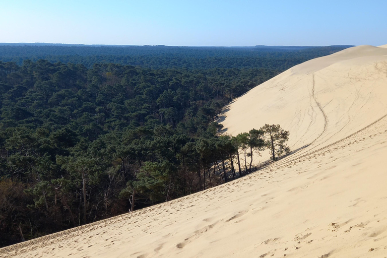 Dune du Pilat i degustacja ostryg! Co jeszcze?Degustacja Dune du Pilat i ostryg! Co jeszcze ?