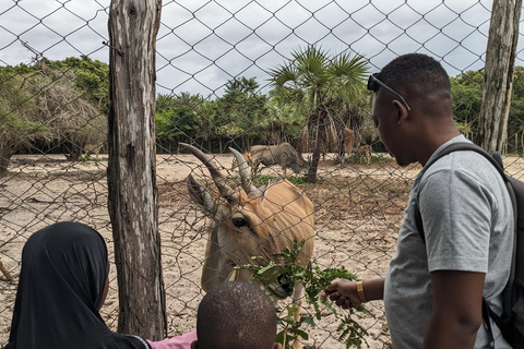 Dar es Salaam: Experience the real Dar es Salaam (City Tour)