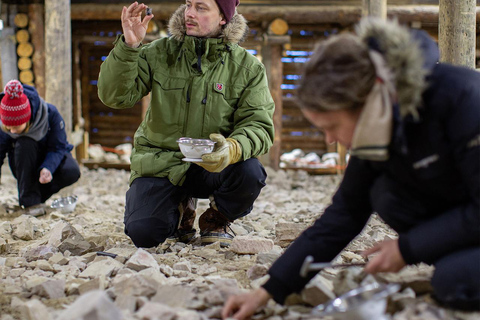 Rovaniemi Lampivaara Amethyst Mine Guided Tour & Gem Digging