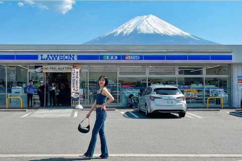 Mt Fuji 8 Spots Customizable Sightseeing Day Tour with Guide Mt Fuji 8 Spots Customizable Sightseeing Day Tour with Guide