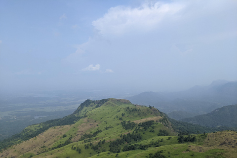 Da Kandy: escursione alle cime gemelle di Kanawiddagala e YahangalaDa Kandy: escursione alle due cime gemelle di Kanawiddagala e Yahangala