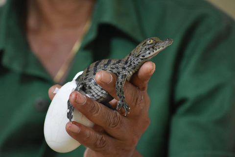 South Mauritius Tour with Crocodile Park & 23-Colored Earth