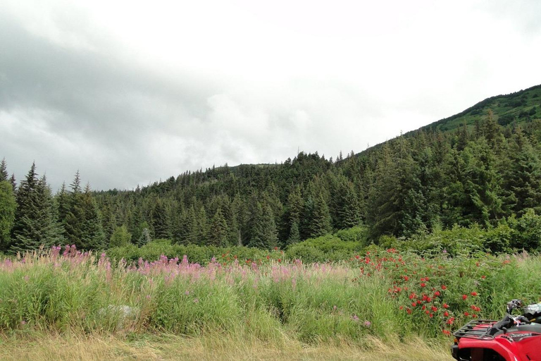 Bird Creek: Chugach State Park ATV Nature Tour & Hike Afternoon Adventure - Single ATV