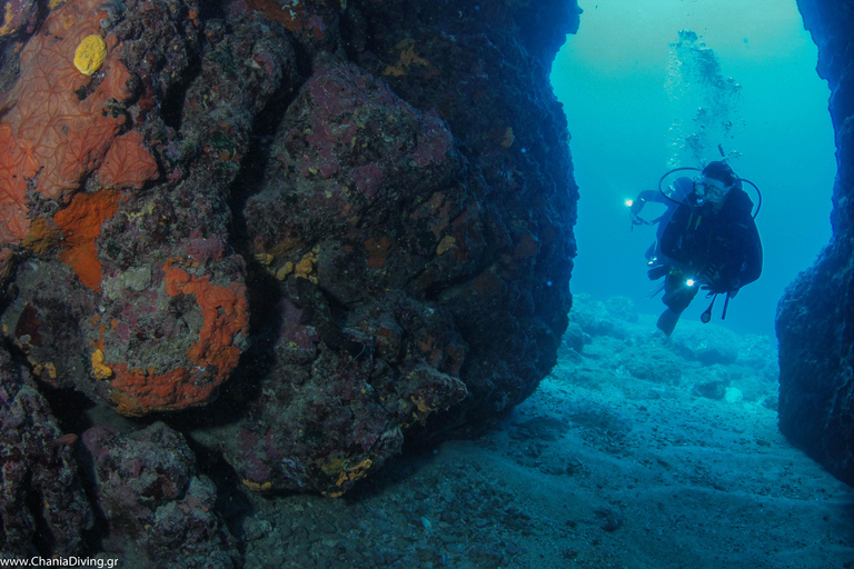 Creta: Experiencia de Buceo Guiado en Chania para Buceadores Certificados