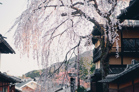 Heldags privat dagsutflykt till Kyoto med engelsktalande chaufförKyoto heldags privat dagsutflykt med engelsktalande chaufför