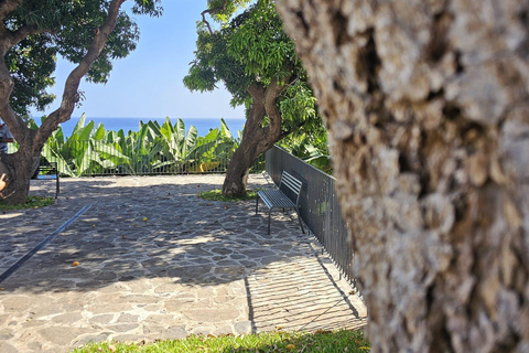 Ponta Do Sol : Madeira Bananenmuseum rondleiding