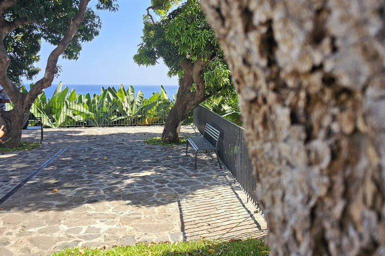 Ponta Do Sol : Visita guiada al Museo del Plátano de Madeira