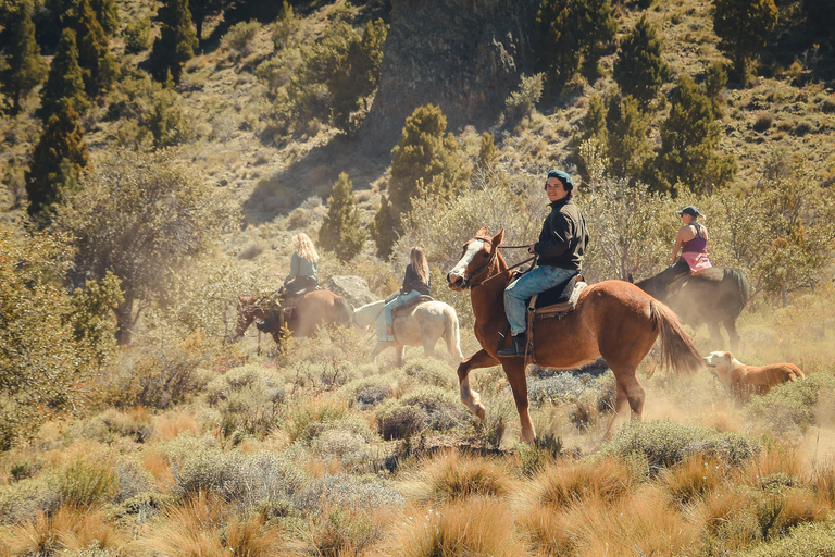 Patagonian Experience – Horseback Riding & Traditional Asado My Patagonian Experience – Horseback Riding & Traditional Asado