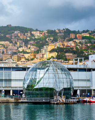 Italian Open Water Tour a Genova