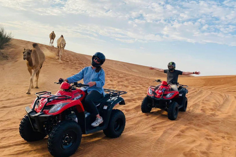 Qatar: Full-Day City & Desert Safari with Inland Sea Tour Qatar: Group Full-Day City & Desert Safari Tour