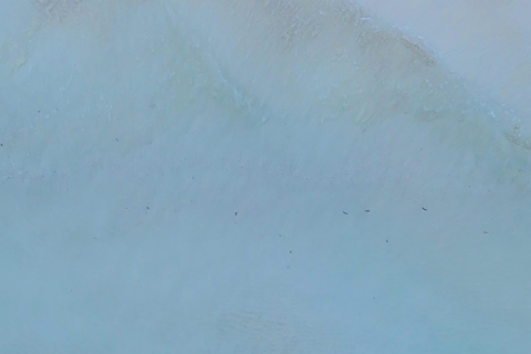 Zanzibar: Float Photoshoot on Kendwa Beach